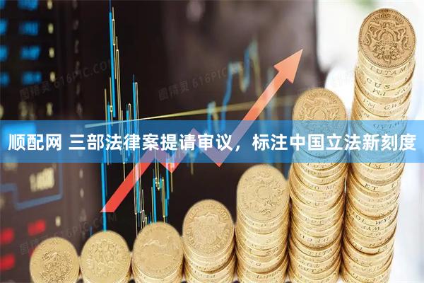 顺配网 三部法律案提请审议，标注中国立法新刻度